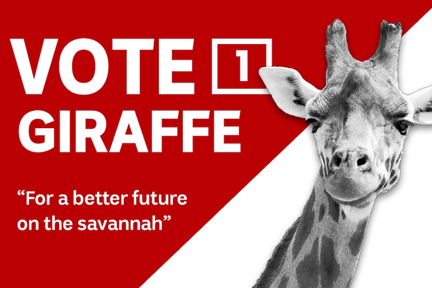 Hare-Clark Vote 1 Giraffe graphic.