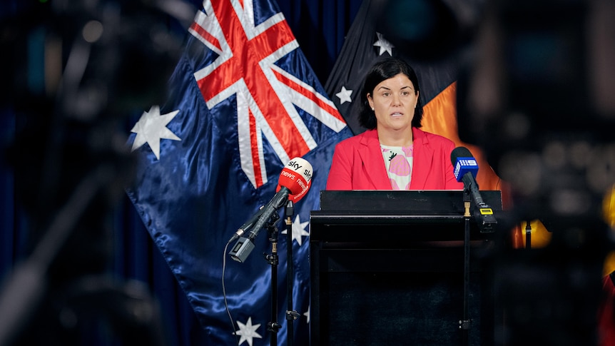 Chief Minister Natasha Fyles standing at a lectern and speaking into microphones, in a room and in front of several flags.