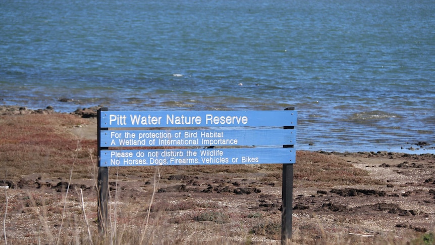 Pitt Water nature reserve