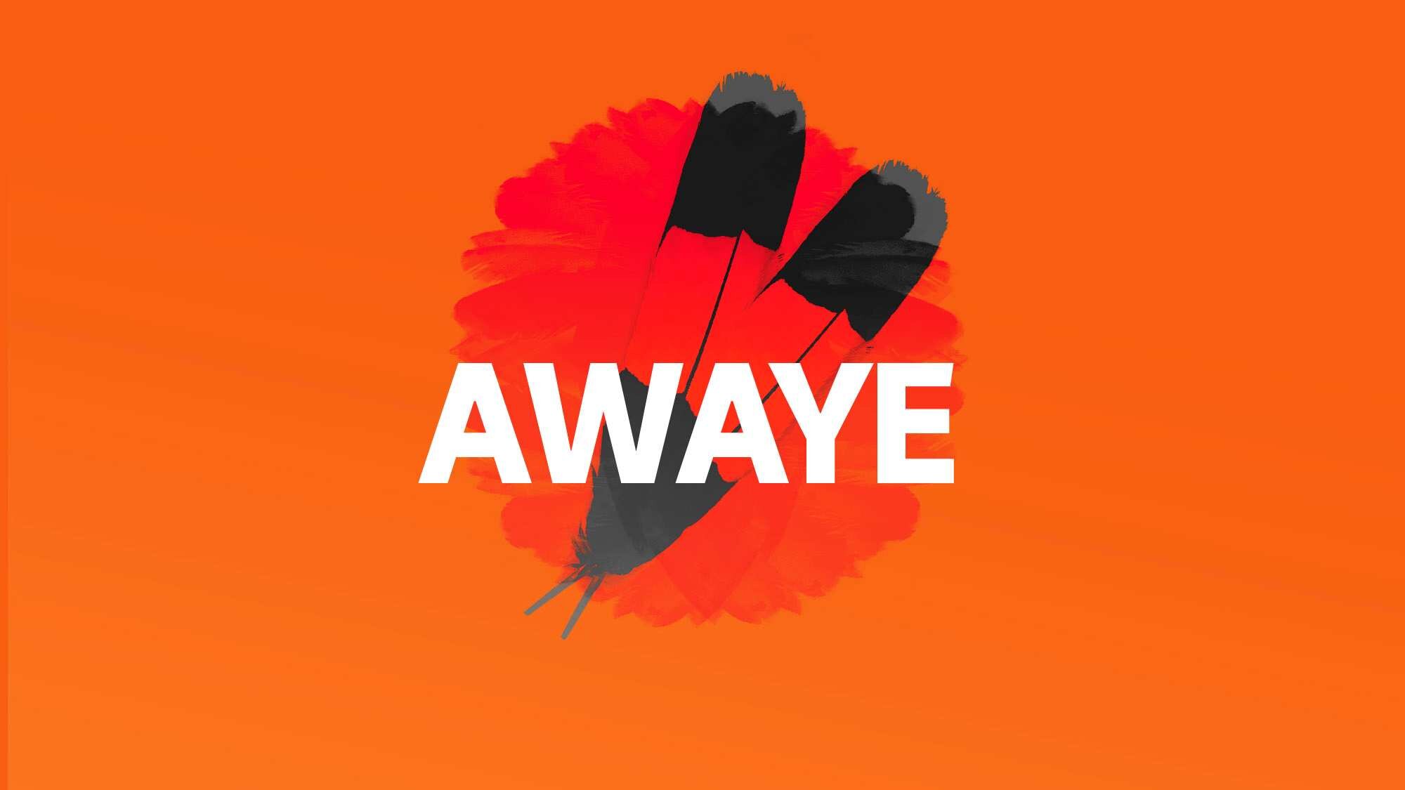 Two feathers on an orange background