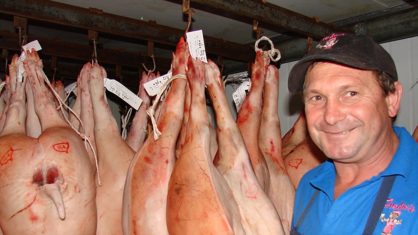 Butcher with pigs.