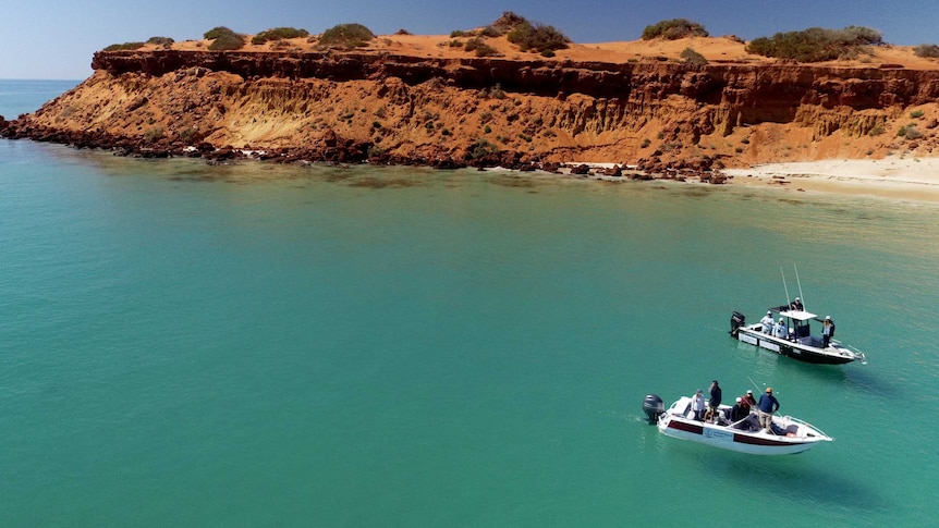 Shark Bay Dolphin Research Alliance vessels at work in Monkey Mia.