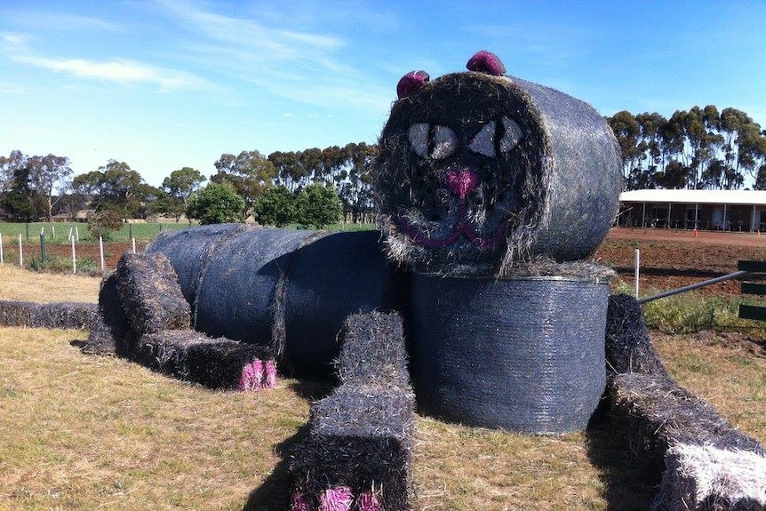 A cat made out of hay bales