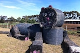 A cat made out of hay bales