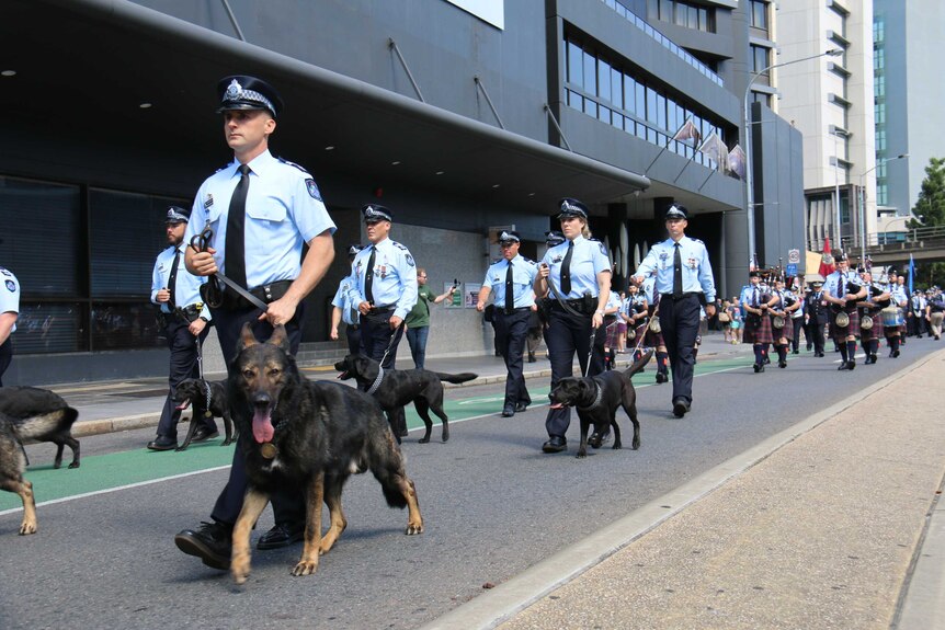 Police officers and police dogs marching through the a street