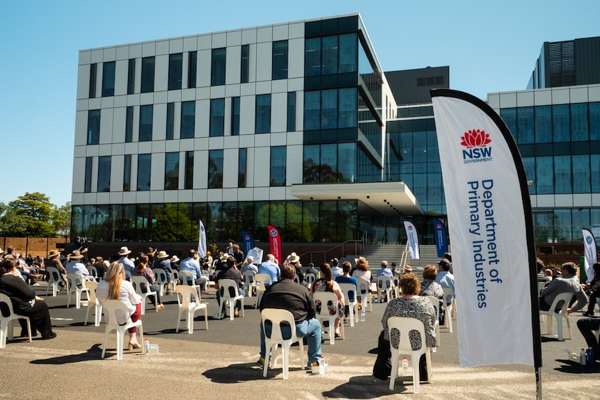 A four-storey office building in a country town.