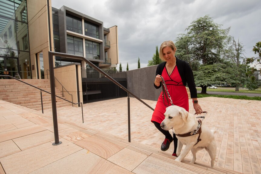 A woman in red walks up some sandstone stairs with her guide dog.