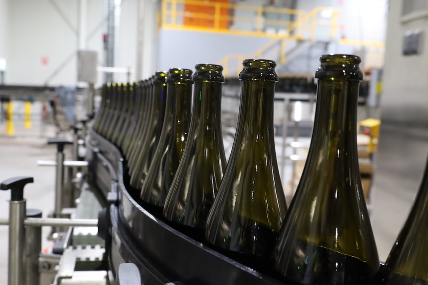 A production line of sparkling wine bottles