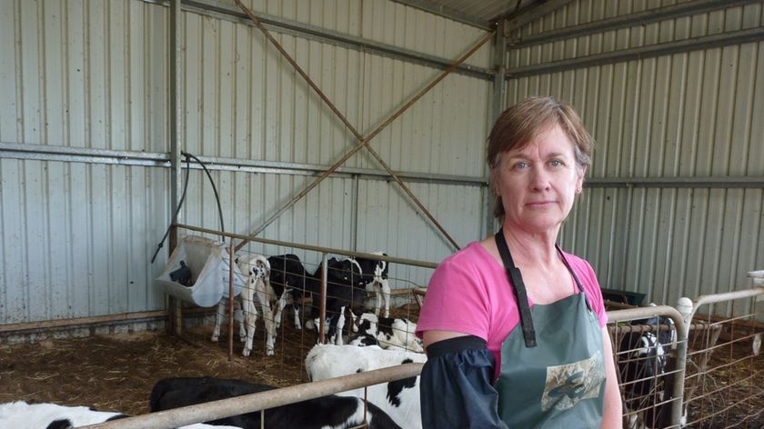 Dairy farmer Mary-Anne Hortle