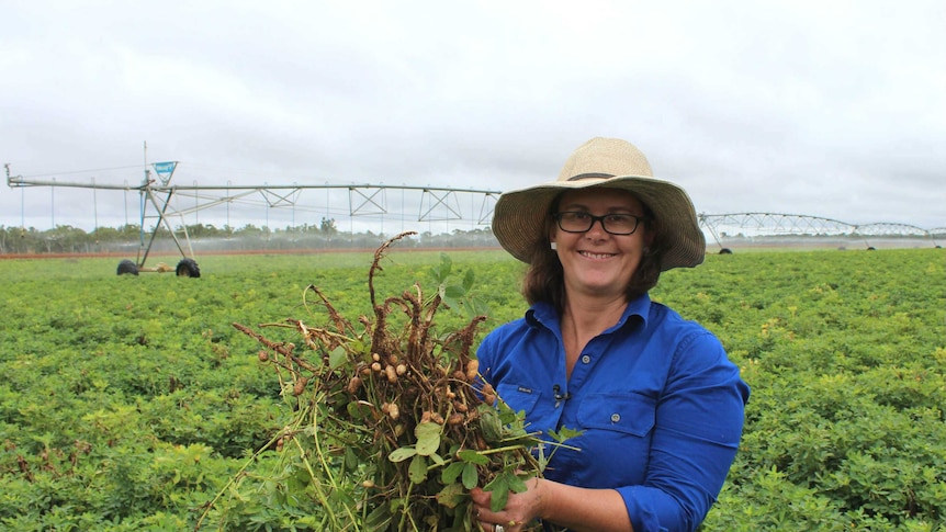 Irrigator Sarah Ciesiolka with a peanut crop.