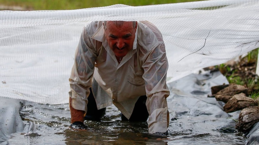 Dave Holleran completing world's longest obstacle course in Eidsvold in 2018
