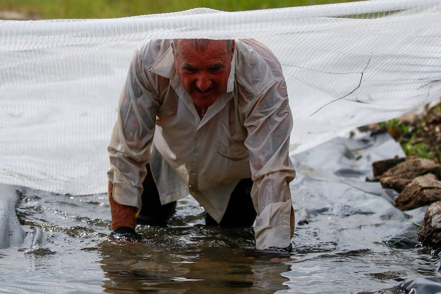 Dave Holleran completing world's longest obstacle course in Eidsvold in 2018