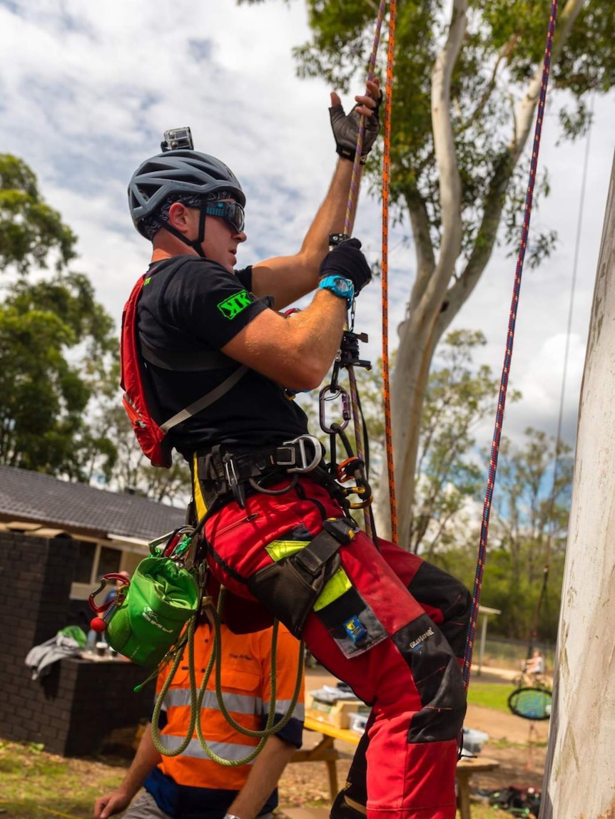 Ascending a tree