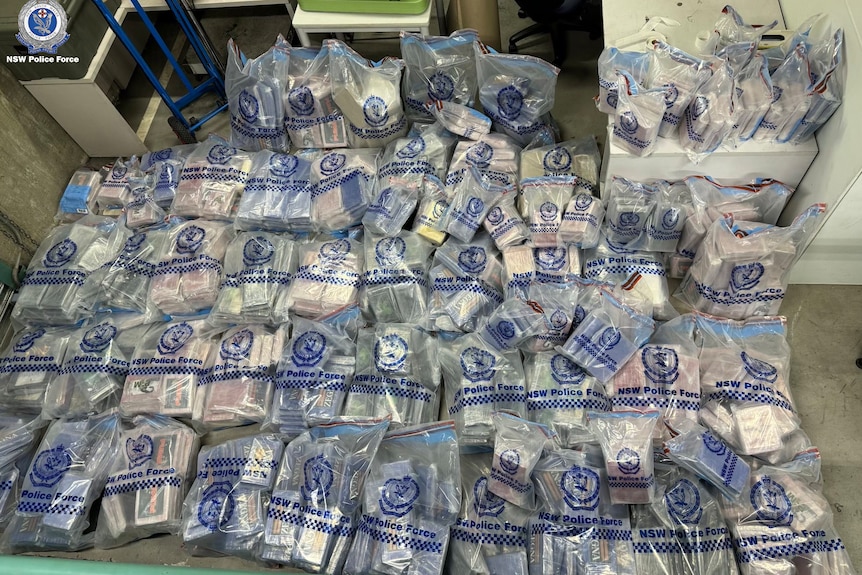Rows of seized cocaine inside police plastic bags