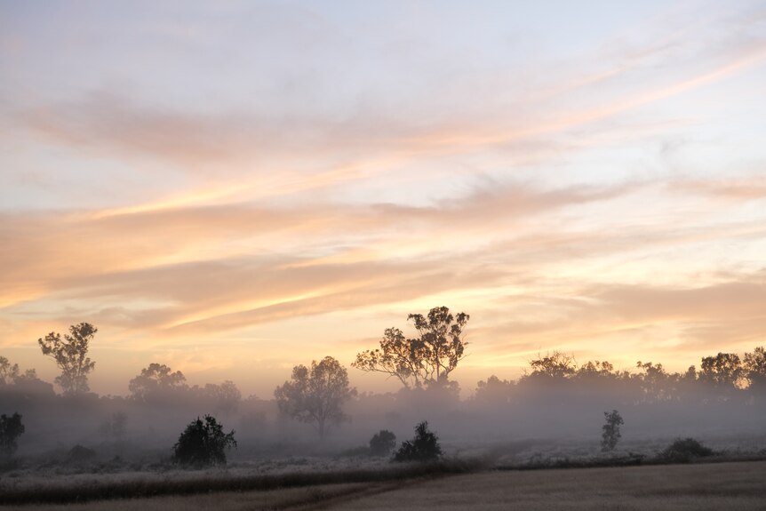 Sunrise over Wambiana station