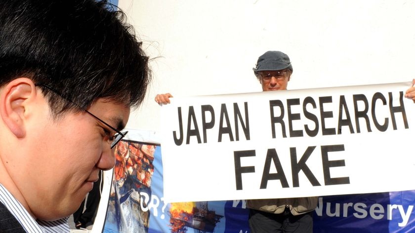 A member of the Japanese delegation walks past anti-whaling protestors