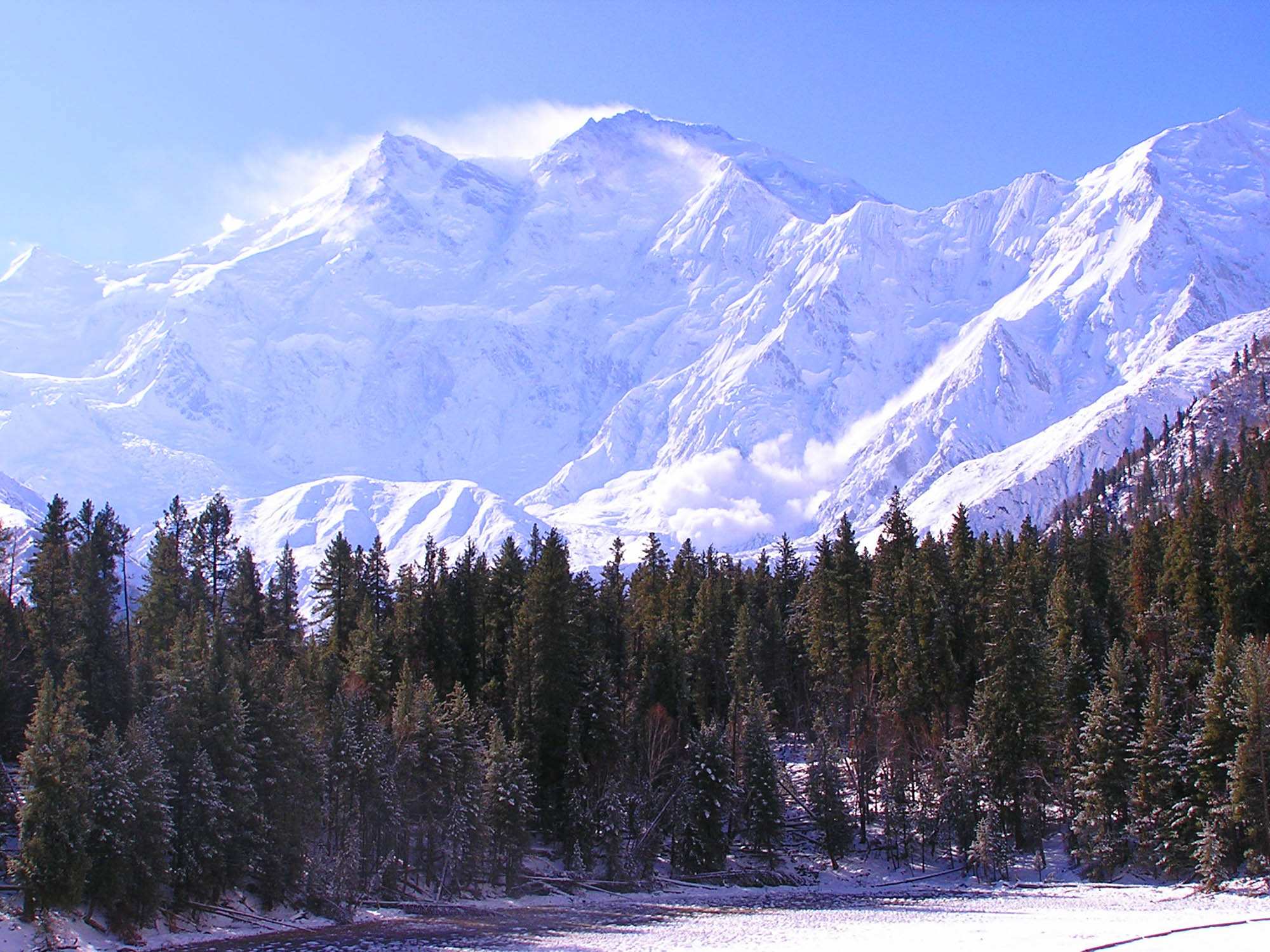 The woolly flying squirrel On the trail of the world's largest glider ABC News