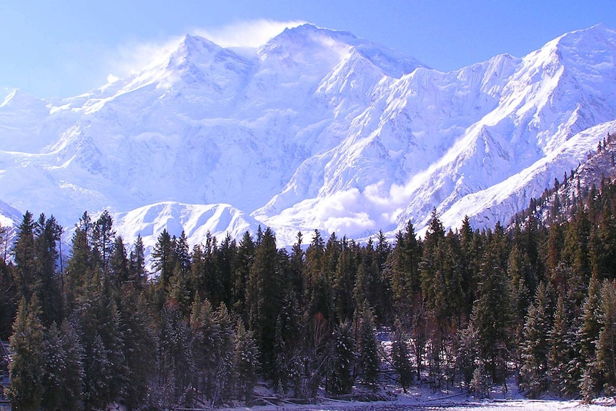 Snowy mountains with pine trees in the foreground.