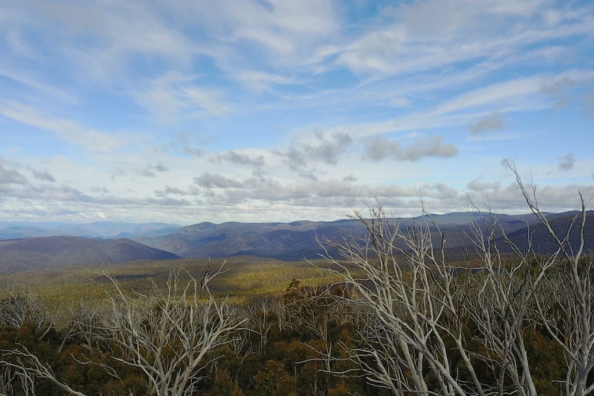 Murray landscape