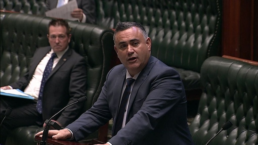 John Barilaro talking at the dispatch box in the NSW Parliament.