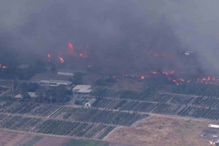 Aerial view of a bushfire front approaching a structure and crops.