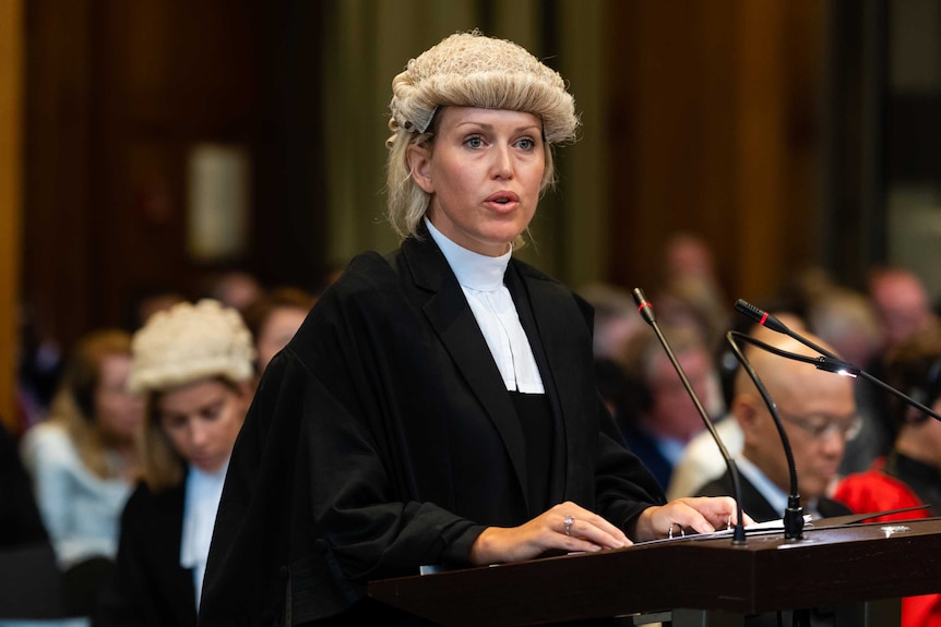 A female lawyer in a barrister's wig and gown stands in front of several microphones