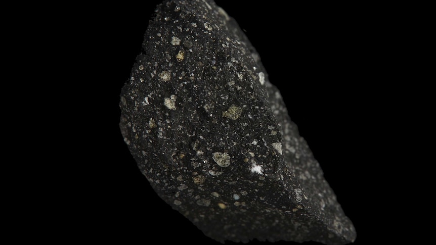 A large dark-coloured speckled rock against a black background.