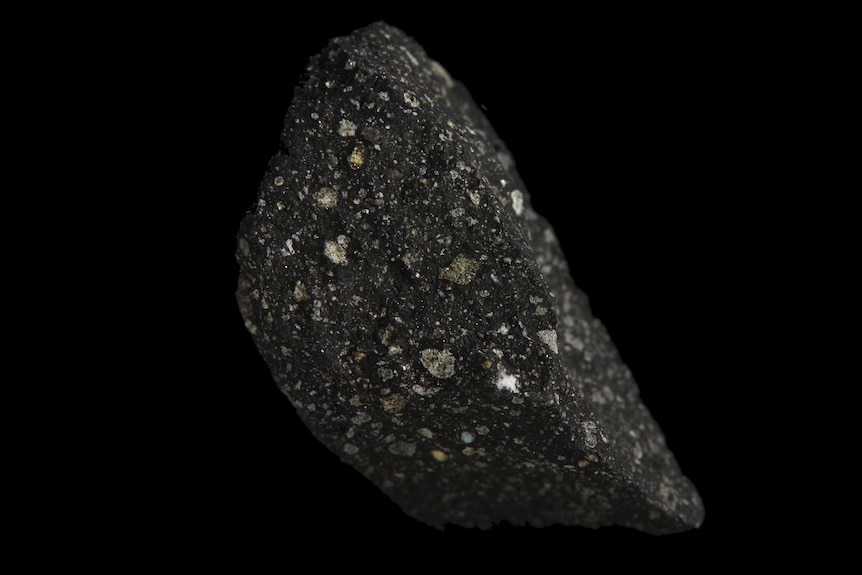 A large dark-coloured speckled rock against a black background.