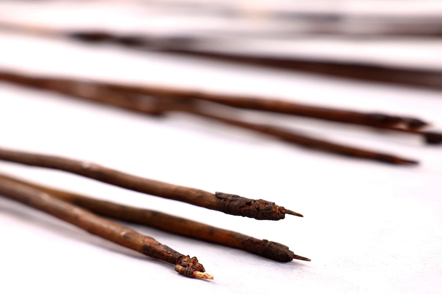 Several wooden spears, displayed on a table.