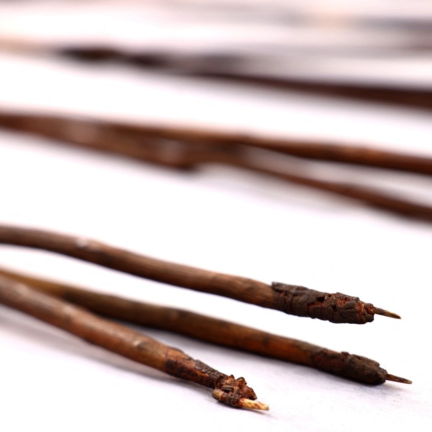 Several wooden spears, displayed on a table.