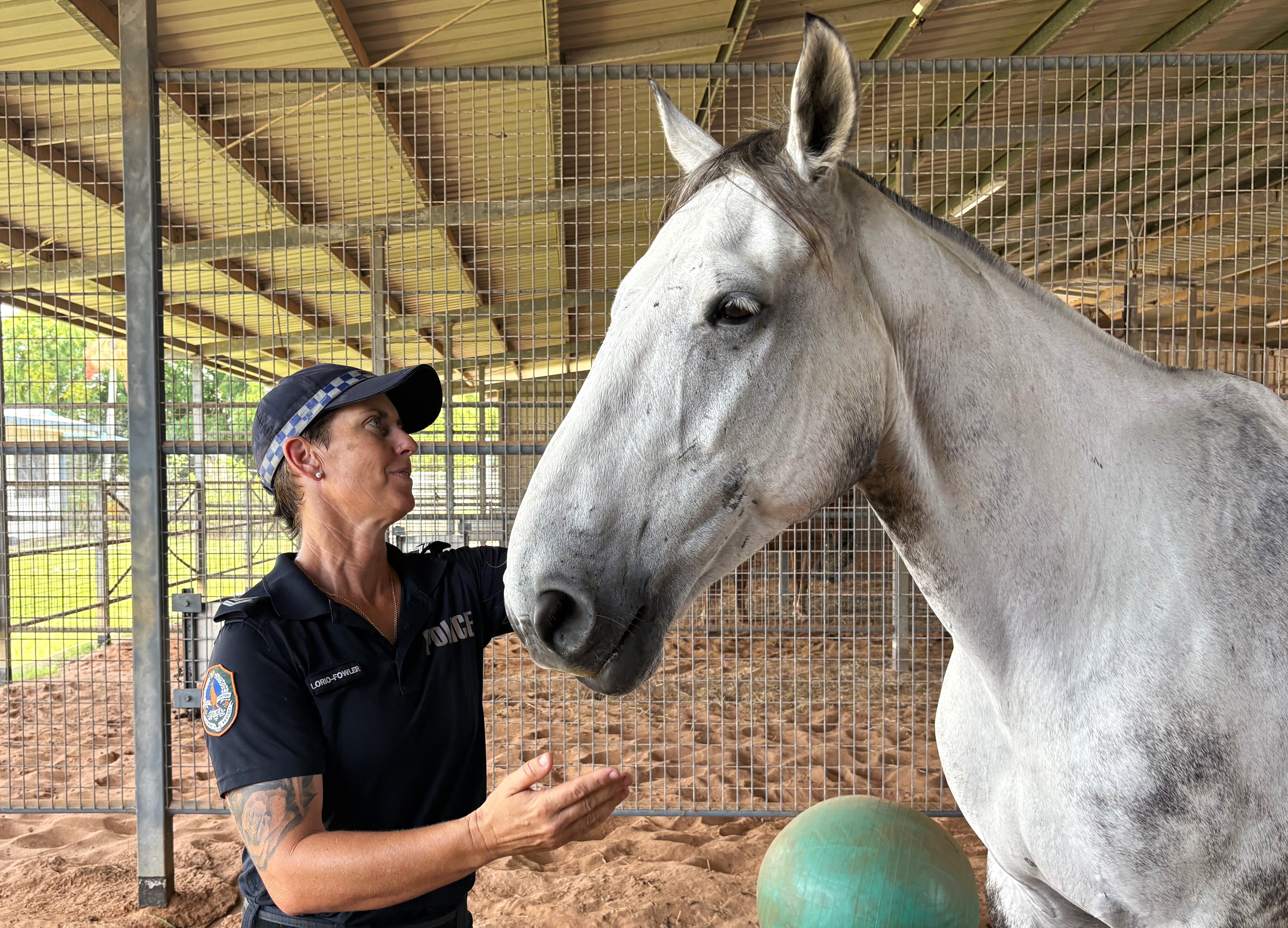 From pulling carts in Melbourne city to patrolling the outback, meet the Territory's newest police recruits