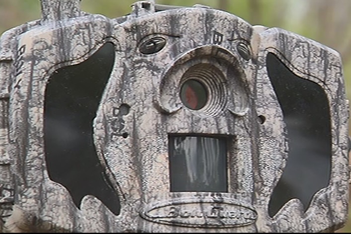 Five remote cameras track the growth of rubber vine around the Fitzroy River.