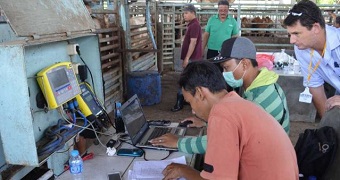 An official monitors two men doing an acquittal of cattle trading in Jakarta.