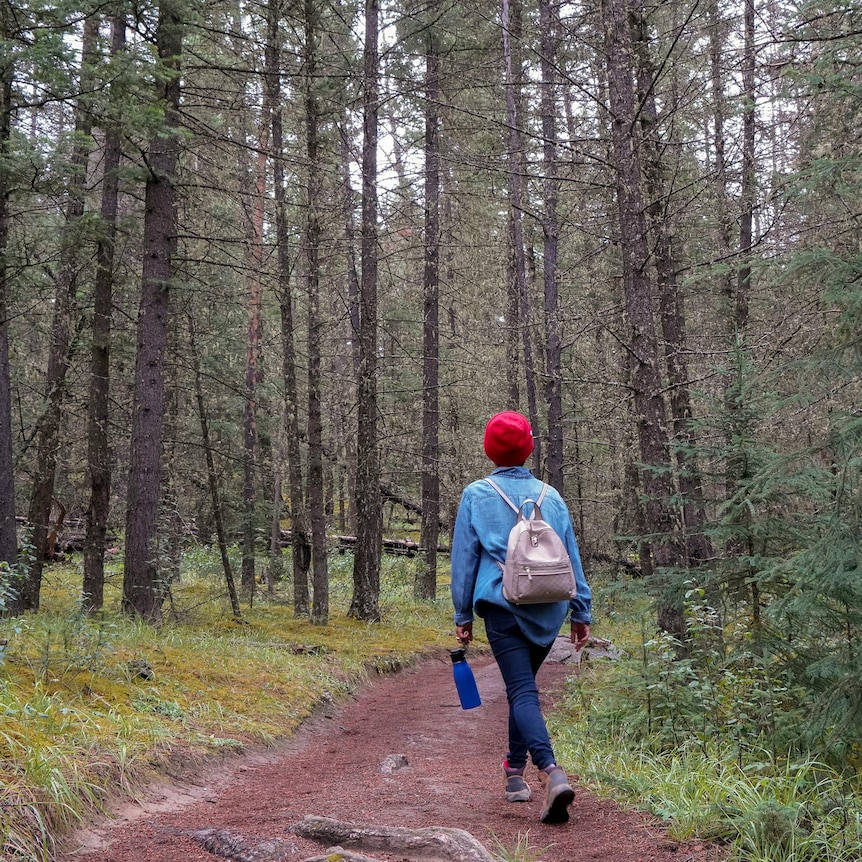 Solo hiker walking through a forest