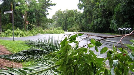 Debris covers northern roads after Cyclone Larry