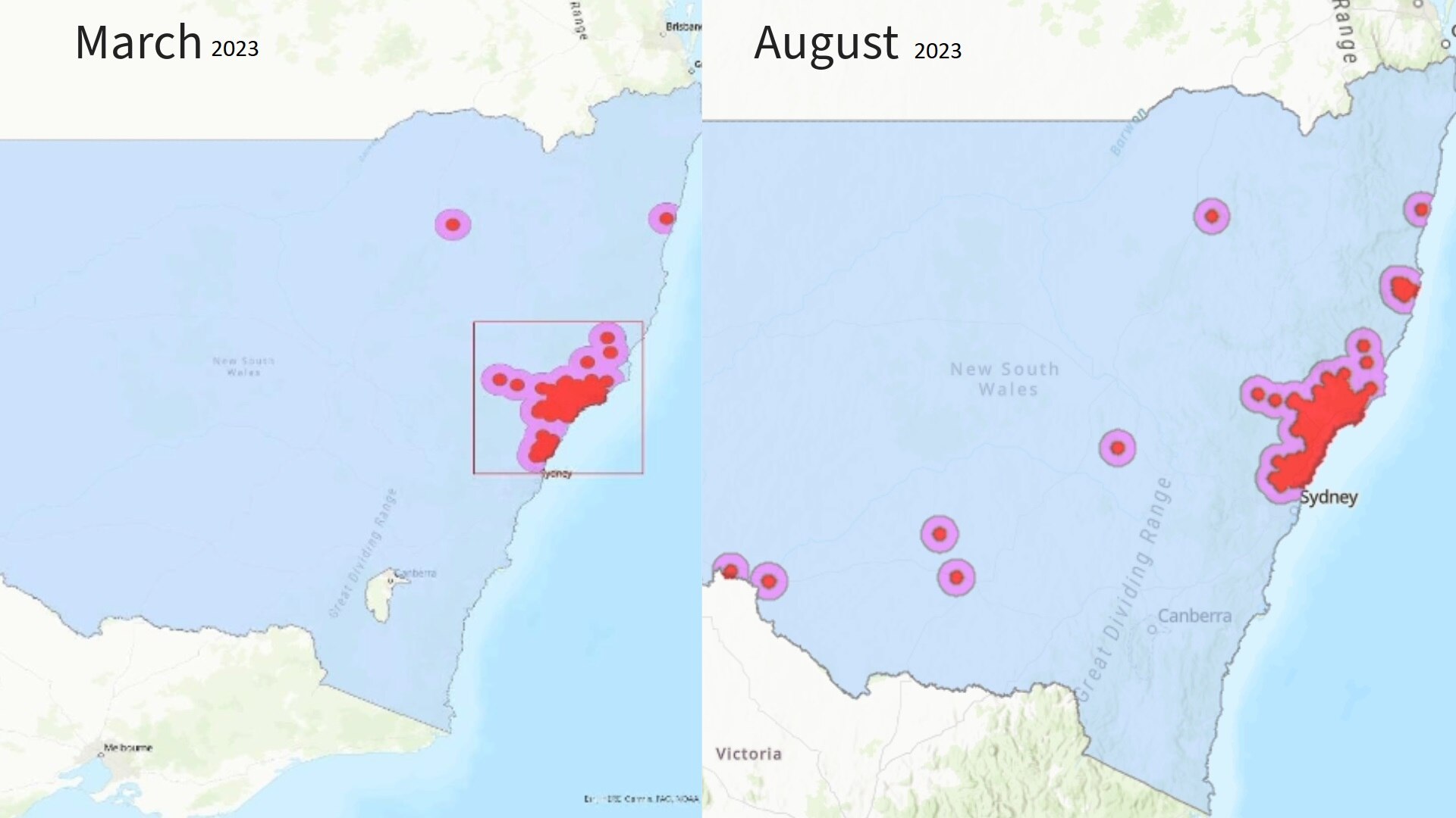 Map of NSW showing spread of varroa mite between March and August 2023