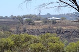 A burnt farm, east of Geraldton