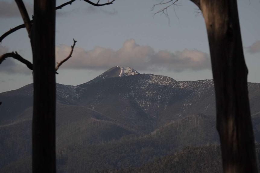 a mountain dominates the frame, it has snow closer to the top.