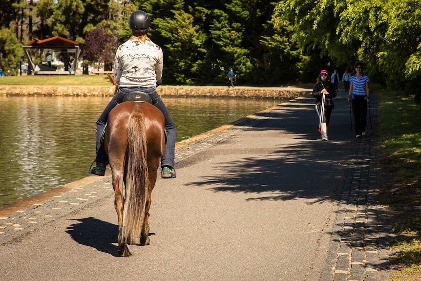 Lauren Woodbridge is riding her brumby Lark through Canberra.