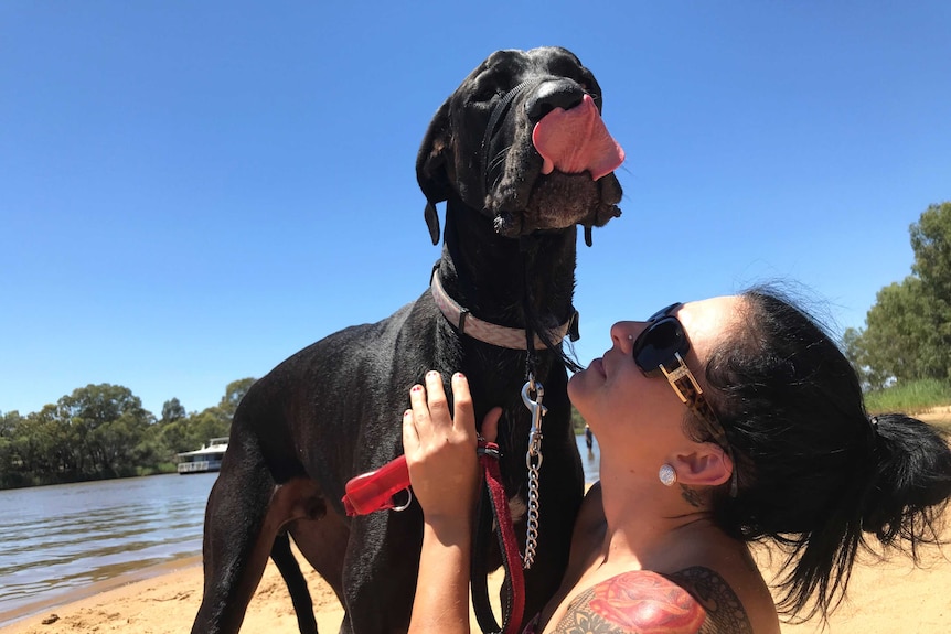 Clare Reed and her great Dane, Scooby, lapping up the heat in Mildura