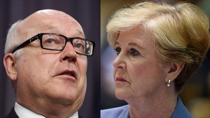 The savagery of the Federal Government's attack has made Gillian Triggs the story.