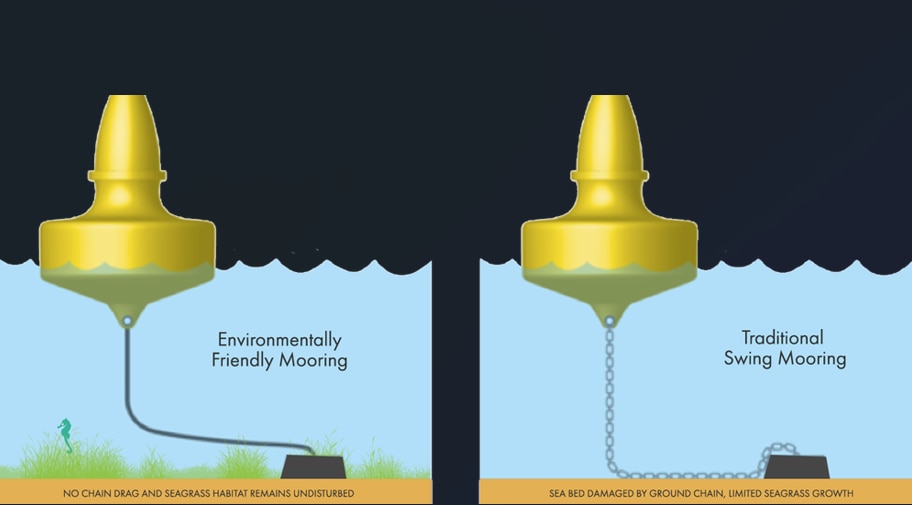Um diagrama que mostra como uma amarração flutuante permite o crescimento de pastagens e da vida marinha.
