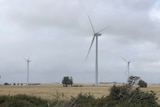 Three wind turbines in a paddock in Gippsland.