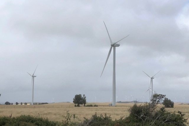 Three wind turbines in a paddock in Gippsland.