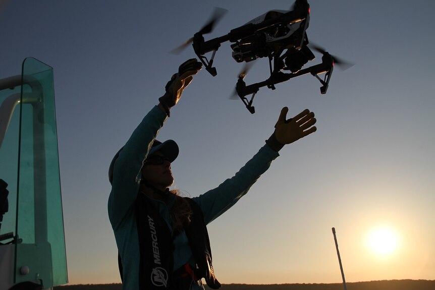 Dr Kate Sprogis with a drone