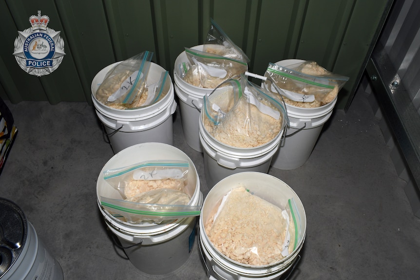 Six large white buckets filled with clear plastic bags of a yellowish-white substance. 