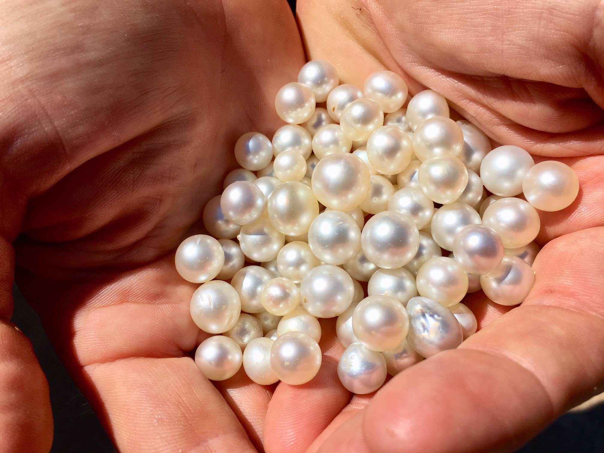 Digital identification proving the &lsquo;origin story&rsquo; of Australia&rsquo;s