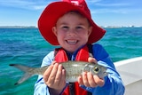 a child holding a small herring fish