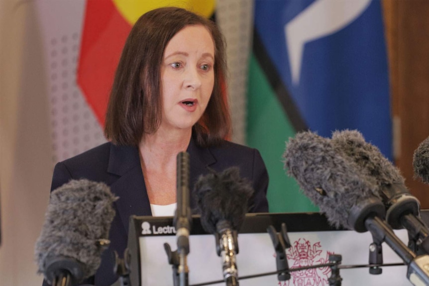 Queensland Health Minister Yvette D'Ath speaking to the media in Brisbane.