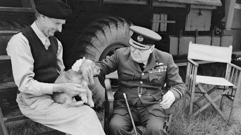 A man in a uniform pats a small dog on the lap of another man.